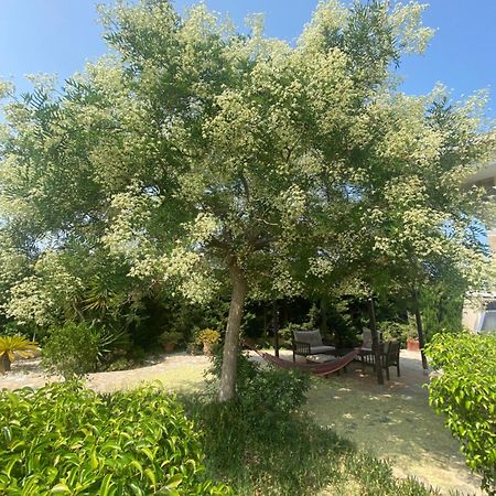 Casa Lusentum Villa ตอร์เรเวียคา ภายนอก รูปภาพ